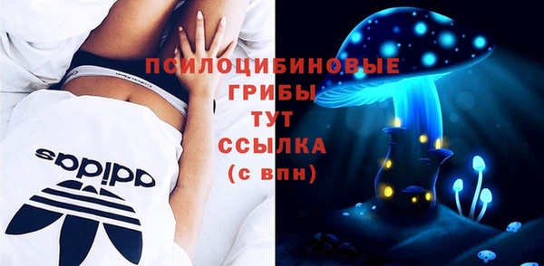 хмурый Надым